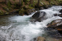 tag3_bild_34