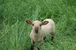 tag4_bild_29
